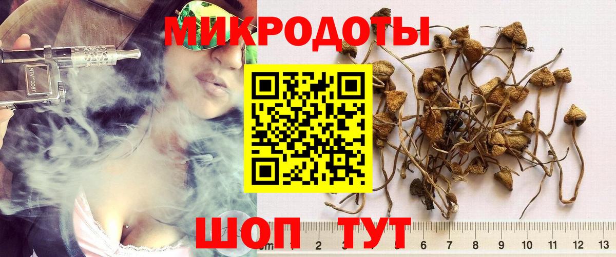 Ногинск  Псилоцибиновые грибы мухоморы  где найти   Вход с VPN 