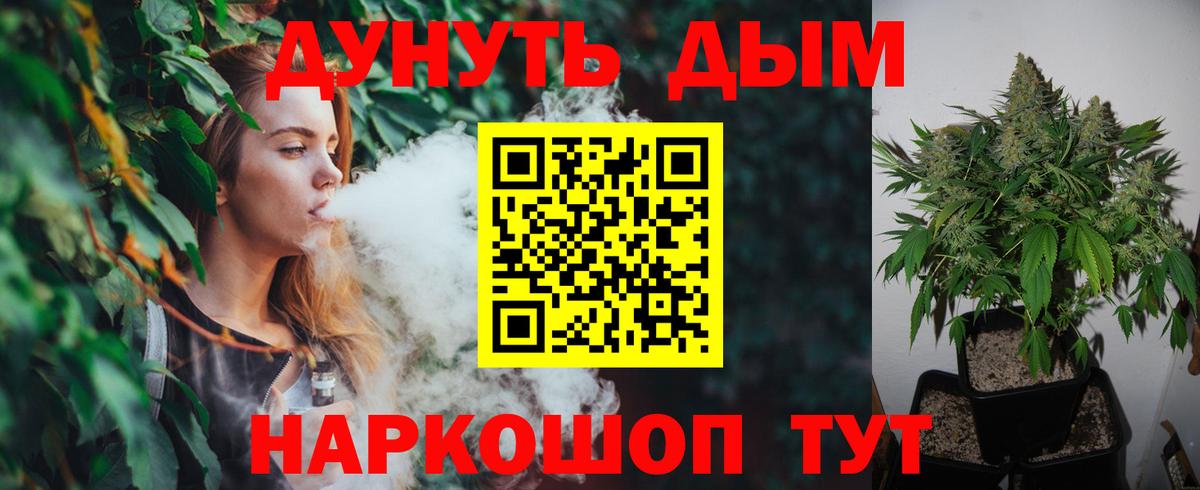 Канабис сатива Ногинск